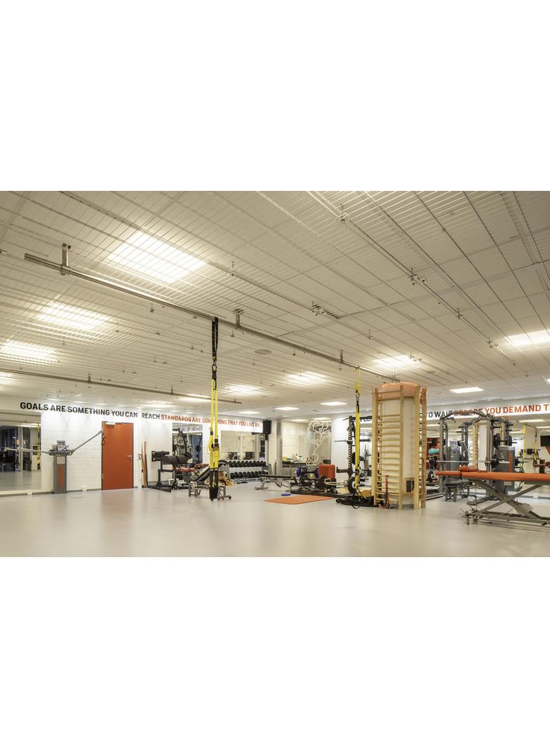 Zasilacz OTI DALI 50/220-240/24 4CHDT6/8