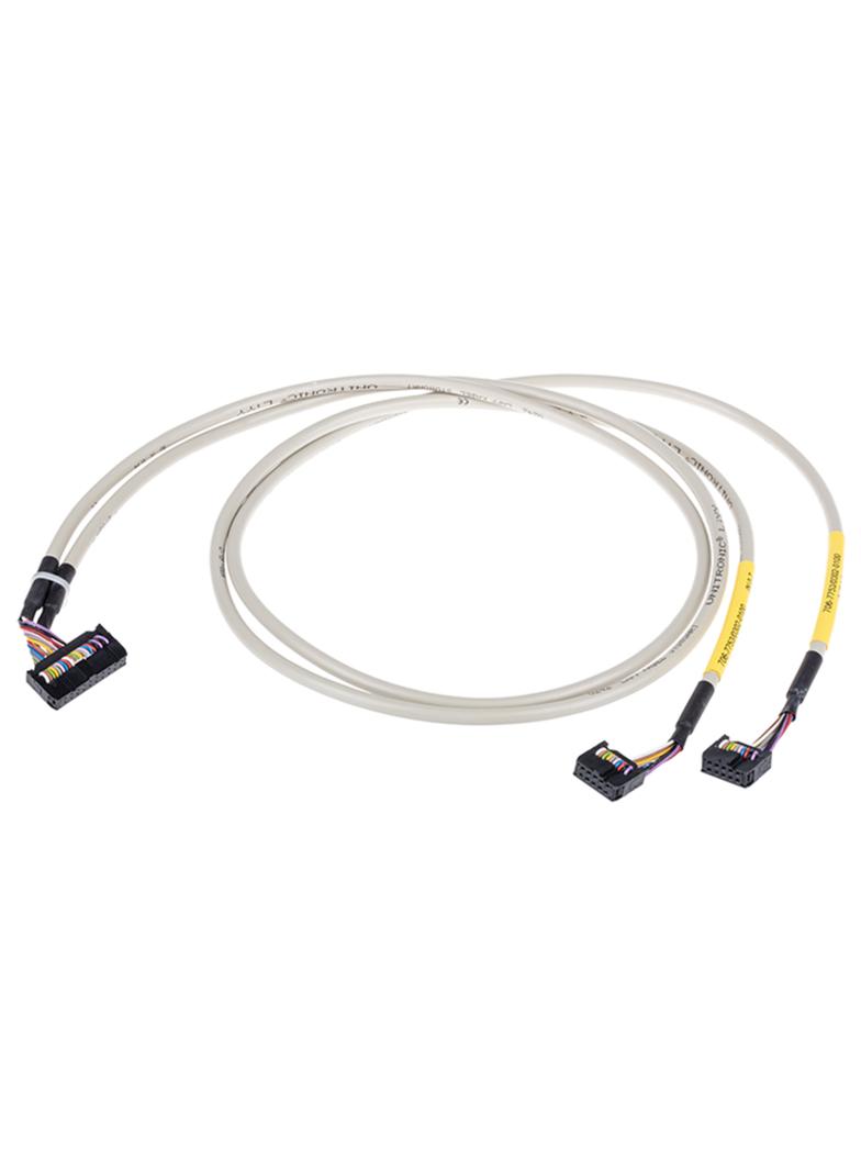 przewód taśmowy 20-bieg./2x10-bieg. 1m