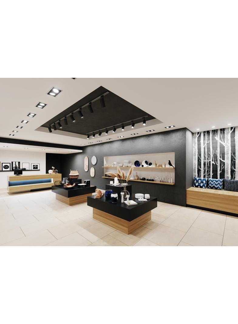 Oprawa SPOT VARIO DN170 35W 4000K 24DEG WT