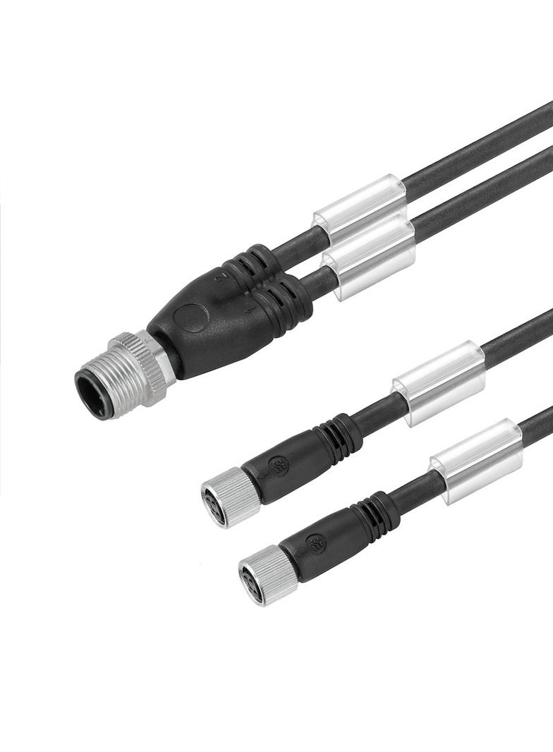 SAIL-ZW-M8BG-3-3.0V Kabel czujnikowy WEIDMULLER