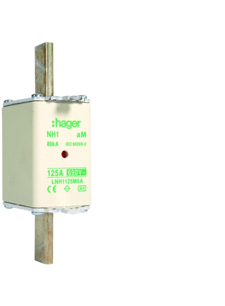 Wkładka bezp. nożowa NH1 wsk.podw. uchwyt nieiz. aM 125A 690 VAC LNH1125M6A HAGER