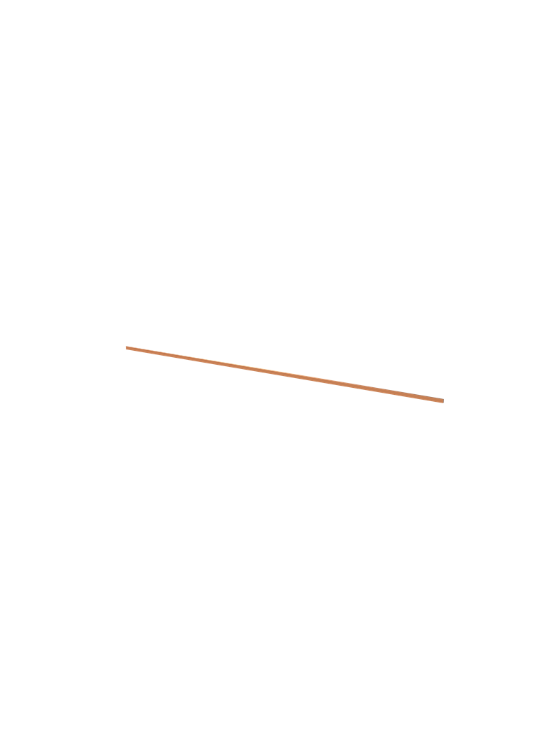 ZX2050 Szyna Cu 12x5mm, L:1204mm