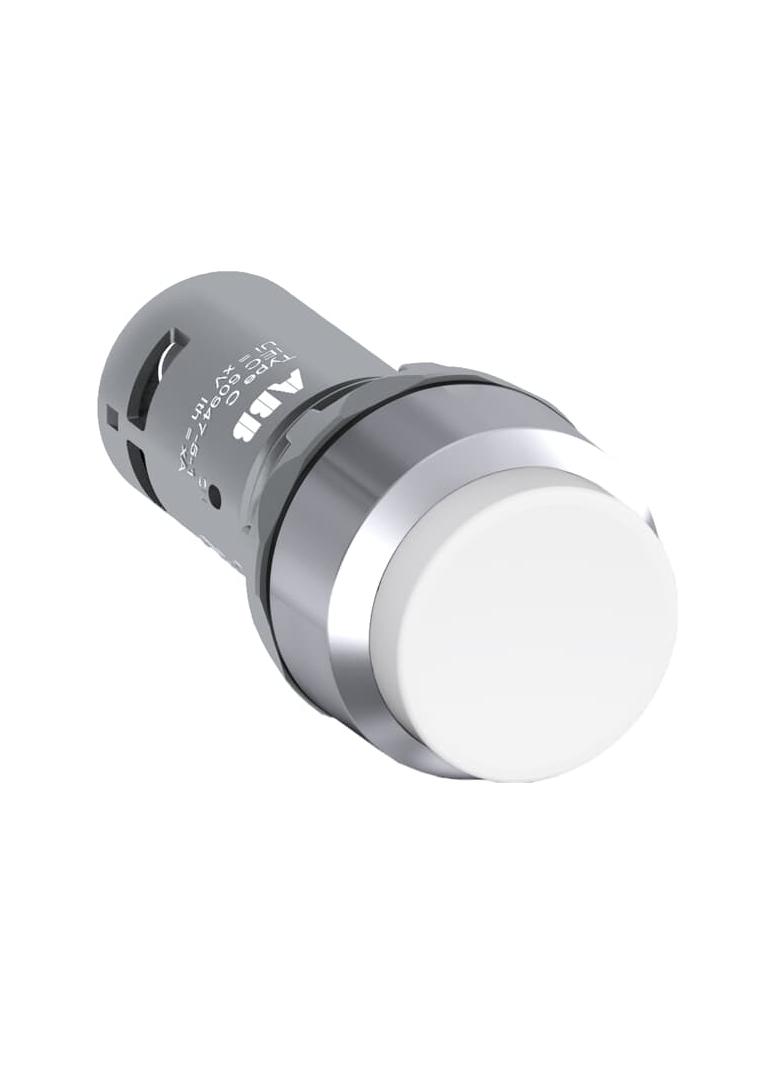 Przycisk wypukły monostabilny 2NO biały CP3-30W-20