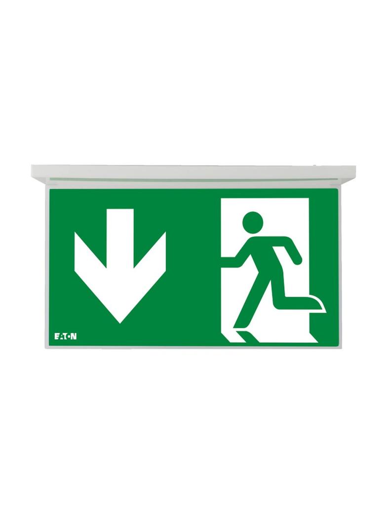 NexiTech LED opal szyba strzałka w dół / strzałka w dół 30m ISO7010 NEXI-PLEXO-DD EATON