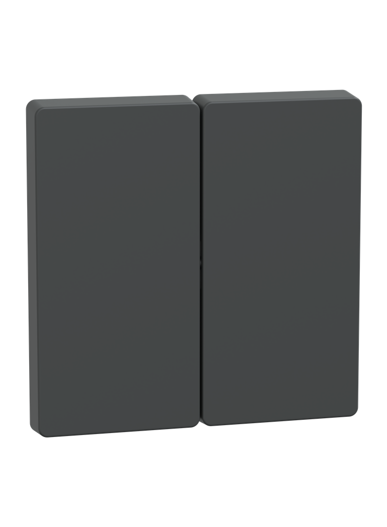 Merten, D-Life, klawisz podwójny, antracytowy