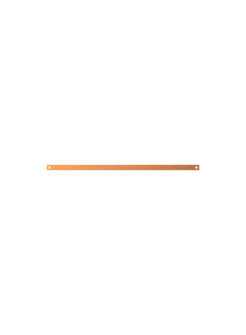 ZX1100 Szyna Cu 30x5mm 3F