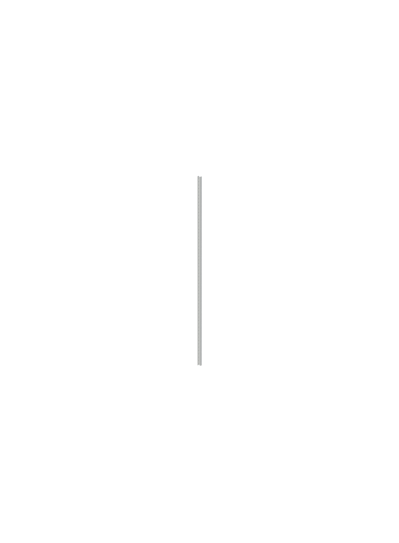 ZW214P10 Profil pionowy ramy WR OH10 (1opak=10szt)