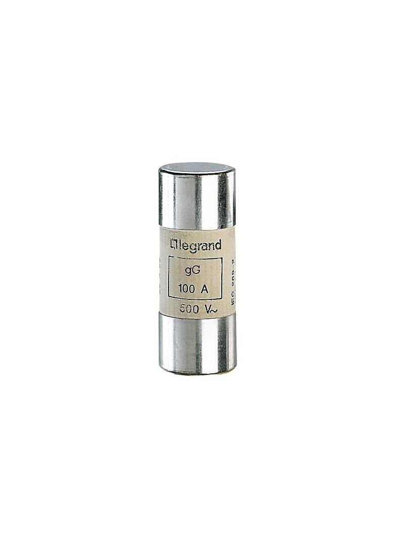 Wkładka Bezpiecznikowa Cylindryczna 22x58Mm 100A Gl 500V Hpc 015396 LEGRAND