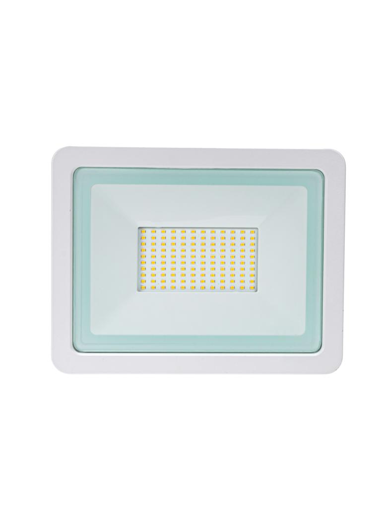 NOCTIS LUX 2 SMD 230V 100W IP65 NW white