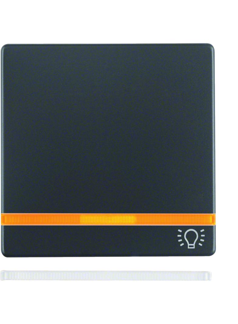 BERKER Q.x Klawisz 2 soczewką nadrukowany symbol światło do łącznika 1-klawiszowego antracyt aksamit