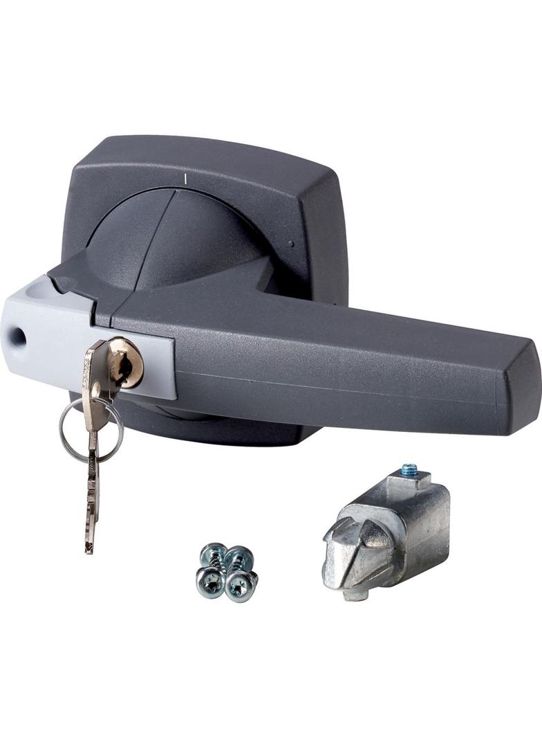 K4DG/C Dzwignia napędu montaż na drzwi typ D szary 12mm 1818055 EATON