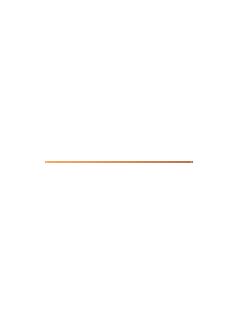 ZX1096 Szyna Cu 20x5mm 5F