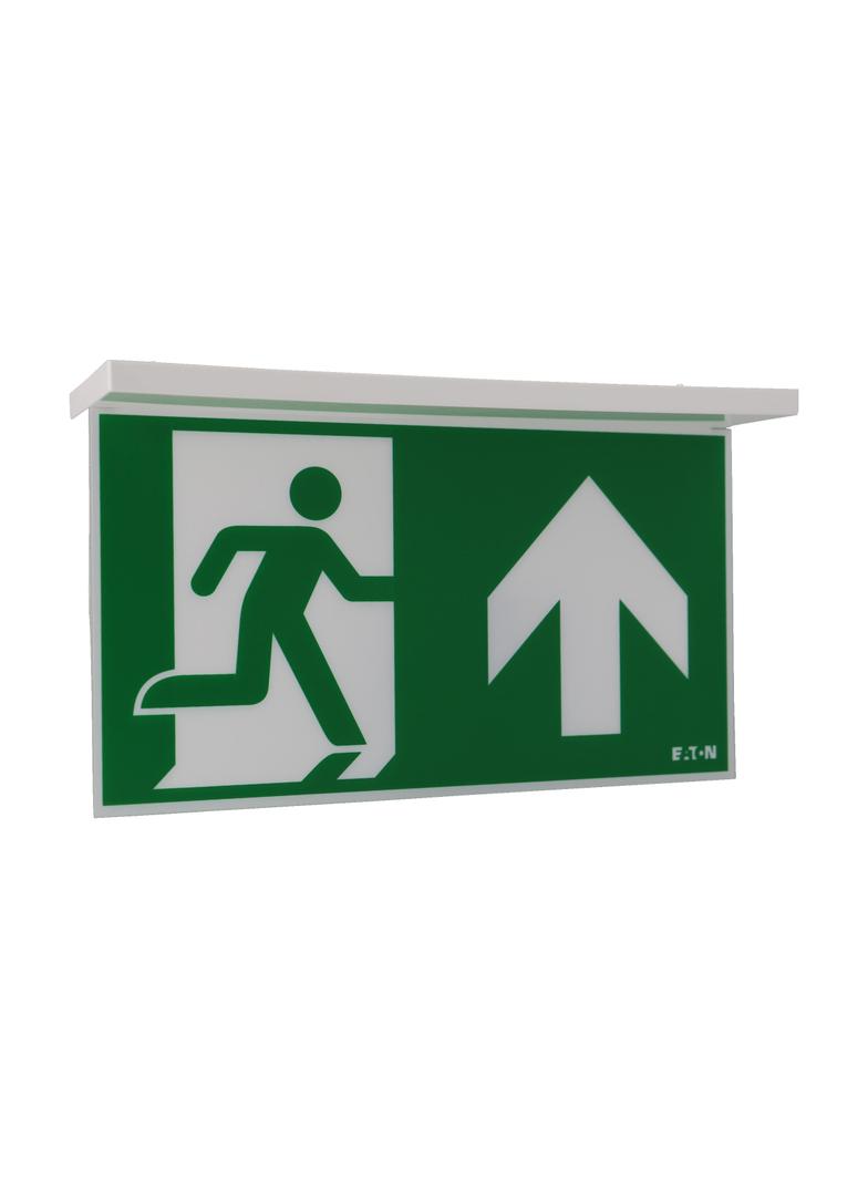 NexiTech LED szyba strzałka do góry / strzałka do góry 30m ISO7010 NEXI-PLEX-UU EATON