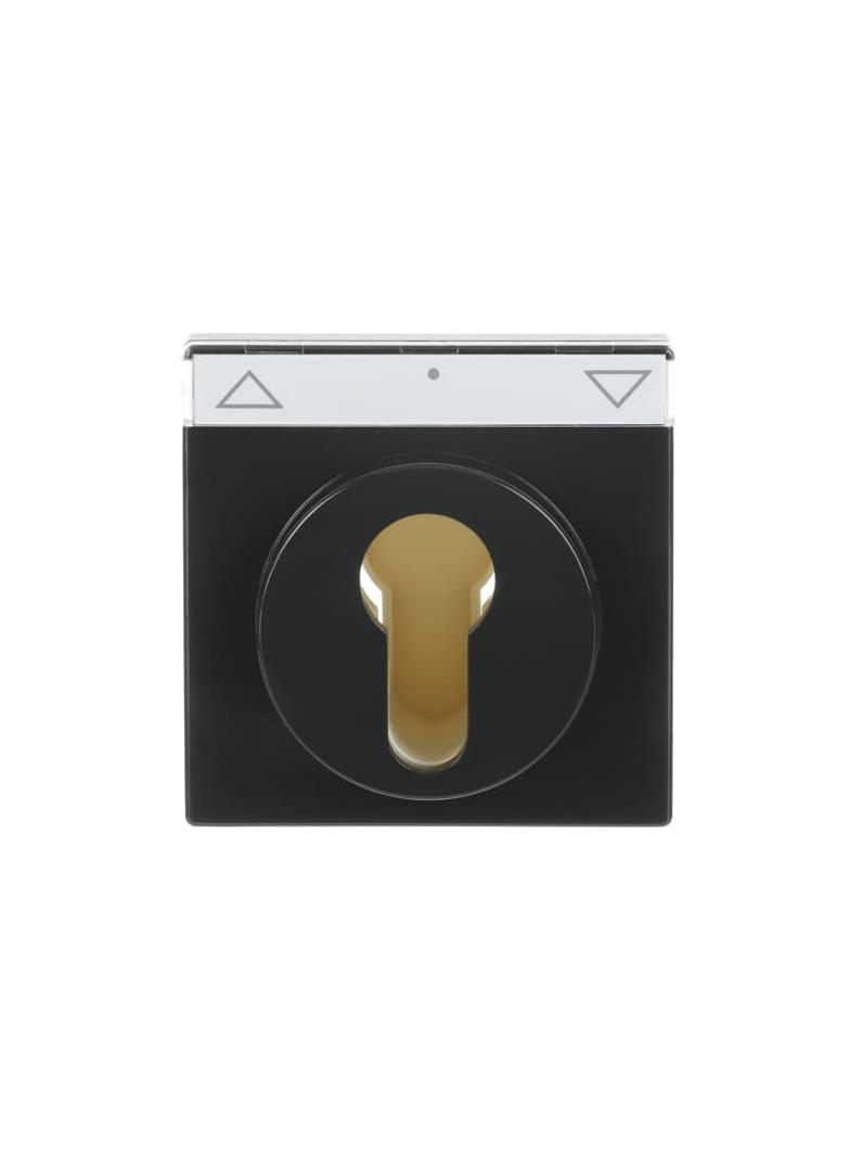 CARAT/FUTURE  Pokrywa z polem opisowym. Z nadrukiem Do wyłącznika na klucz i wyłącznika/przycisku ża