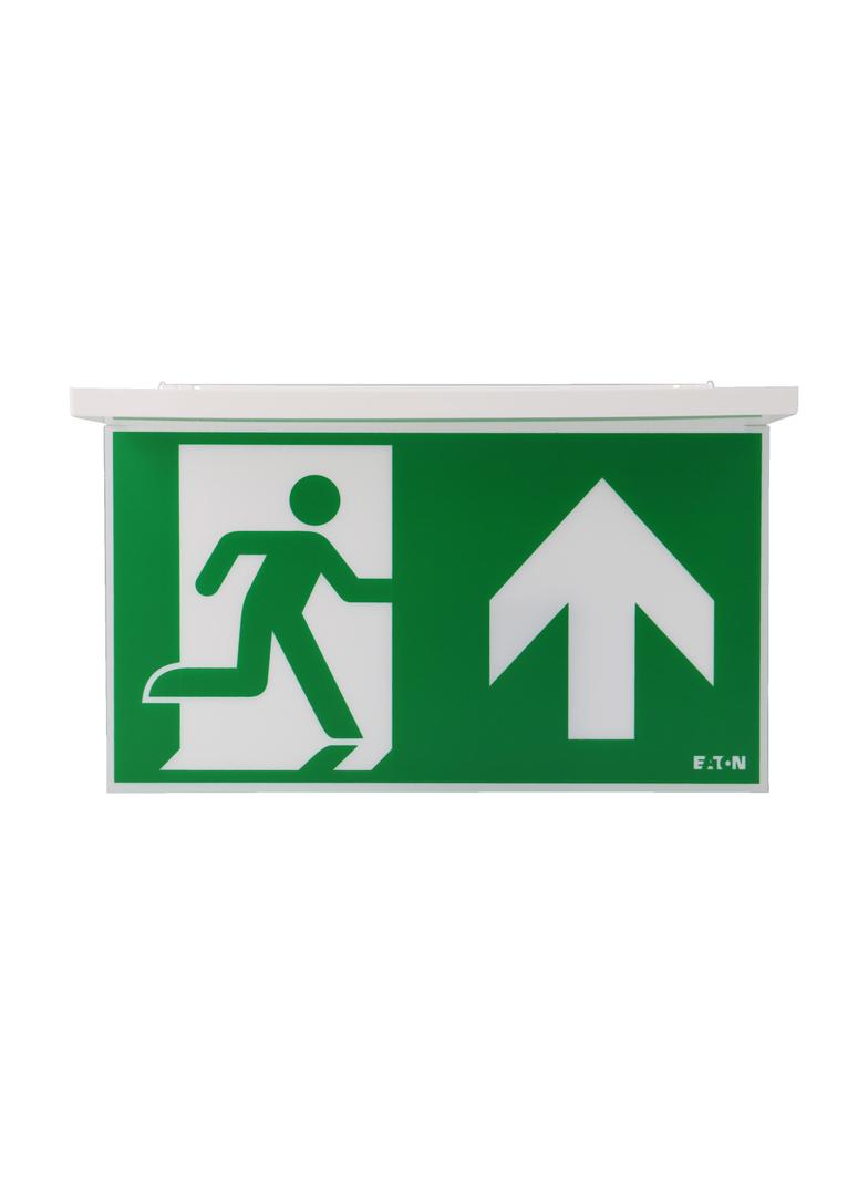 NexiTech LED szyba strzałka do góry / strzałka do góry 30m ISO7010 NEXI-PLEX-UU EATON