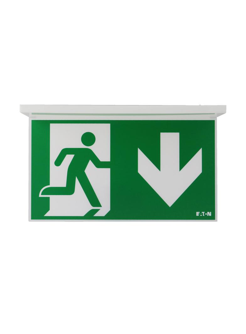 NexiTech LED opal szyba strzałka w dół / zaślepka 30m ISO7010 NEXI-PLEXO-DB EATON