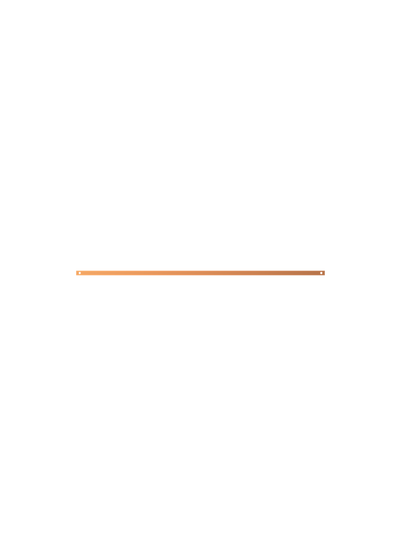 ZX1095 Szyna Cu 20x5mm 4F