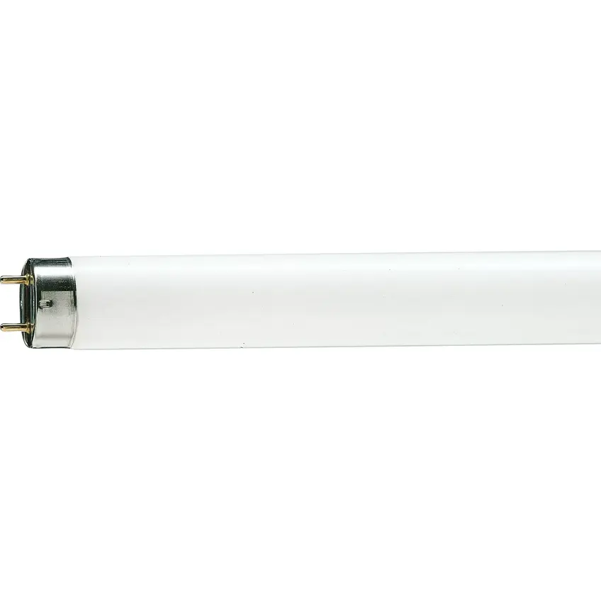 MASTER TL-D 90 Graphica 36W/965 SLV/10 Świetlówka liniowa